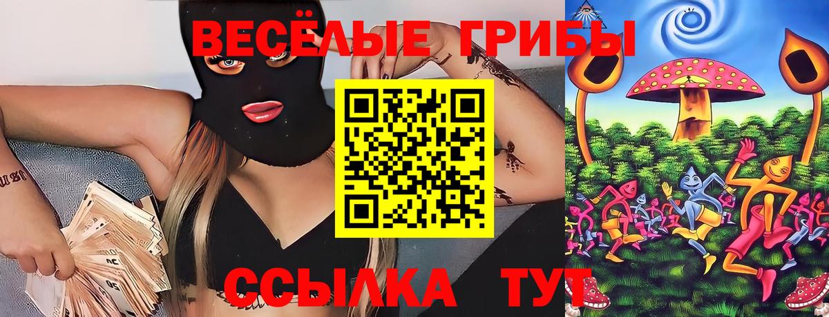 где продают наркотики  Вход с VPN  Урюпинск  Псилоцибиновые грибы Cubensis 